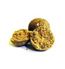 SELECT BAITS FRESH BOILIES MUSSEL & BELACHAN 1kg 20mm