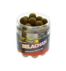 SELECT BAITS HOOKBAITS CRITIC BELACHAN
