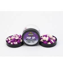 BUCOVINA CARP BAITS POP UP + DUMBELL SQUID & PLUM