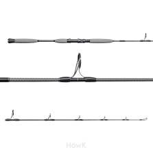 HOWK SPECIAL ONE 200S BEST 200G MAX PE 3 FAST JIGGING ROD