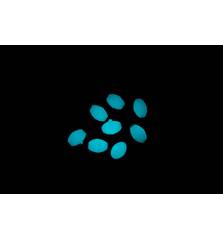 ASARI SOFT LUMINOUS OVAL BEADS BLUE