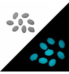 VERCELLI OVAL SILICONE BEAD L #BLUE