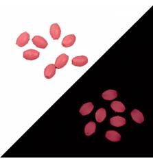 VERCELLI OVAL SILICONE BEAD L #PINK