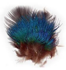 BAETIS PAVO REAL FEATHERS