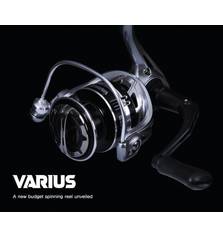 BLACK HOLE VARIUS 5000M
