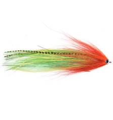 VISION PIKE STREAMER PARROT
