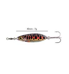 BLACK MAGIC ENTICER BROOKIE