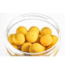 FORGOTTEN FLAVOURS POP UP CASSIEN CLASSICS 15mm