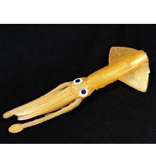 MOONSHINE BAITS KRAKEN SPARE BODY