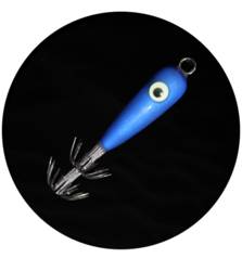 MATAKI SQUID