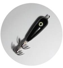 MATAKI SQUID