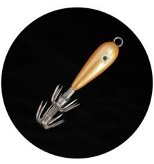 MATAKI SQUID