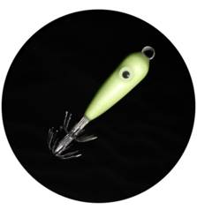 MATAKI SQUID