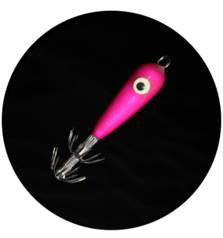 MATAKI SQUID