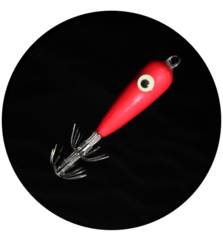 MATAKI SQUID