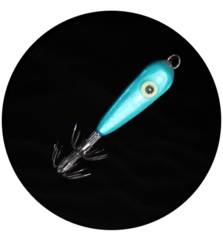 MATAKI SQUID
