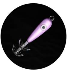 MATAKI SQUID