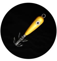 MATAKI SQUID