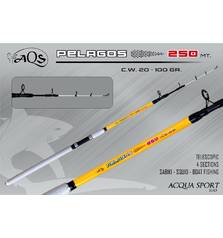 ACQUA SPORT PELAGOS TELE 2,5m20-100g
