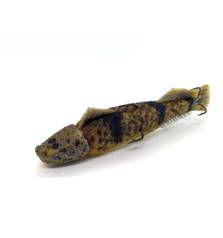 SPUZVASTI KAPELJ 35g 12cm #1