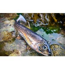 RUA LURES SABA 105mm 33g