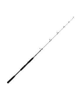 MITCHELL TANAGER SW JIGGING 20LB