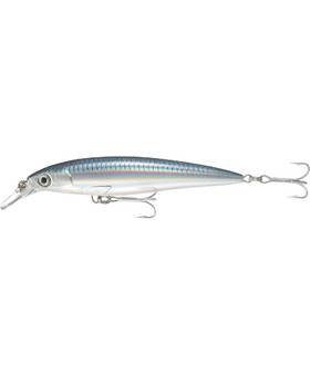 RAPALA X-RAP SALTWATER SXR 10CM #BAITFISH