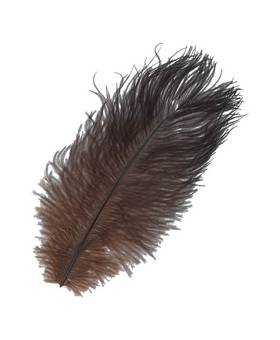 BAETIS OSTRICH MINI PLUMES BROWN
