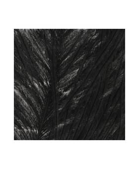 BAETIS OSTRICH HERL #NATURAL GREY
