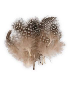BAETIS GUINEAFOWL FEATHERS #NATURAL