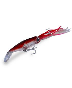 DTD SQUID