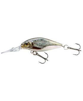 CORMORAN BELLY DIVER MINI F. 3.8cm 3g ROACH