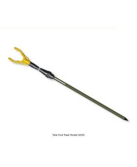 CORMORAN BANK STICK U TELE