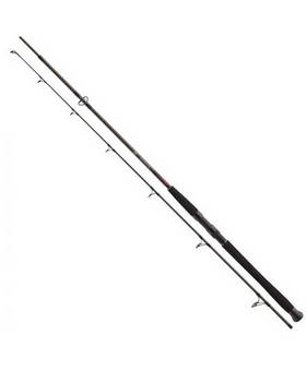 DAIWA EXCELER CAT FISH 2.4m -135g