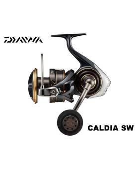 DAIWA CALDIA SW 8000-H