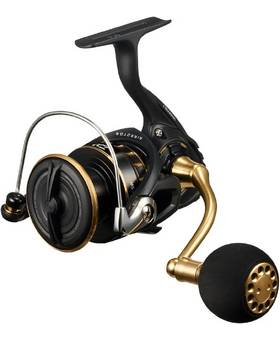 DAIWA 23 BG SW 4000-CXH