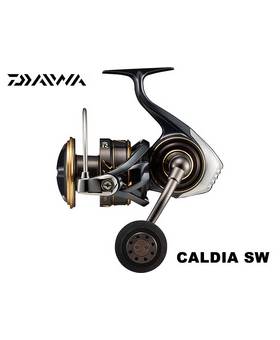 DAIWA CALDIA SW 8000-P