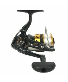 DAIWA WORLD SPIN 2000