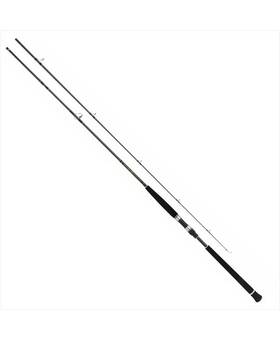 PROMARINE SHORE JIG ROUNDER 100M max 80g