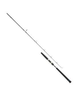 PROMARINE CHRONO STAR S602M 1.8m OFFSHORE JIGGING max.200g PE2