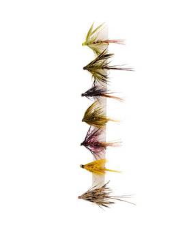 SNOWBEE PRESTIGE FLY SELECTION #IRISH LOUGH WETS