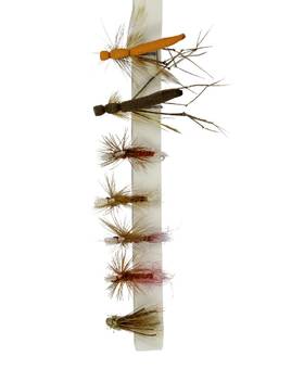SNOWBEE PRESTIGE FLY SELECTION #RED HOT DRIES BARBLESS