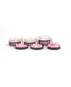 NASH CITRUZ POP UPS PINK 50g