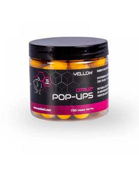 NASH CITRUZ POP UP YELLOW