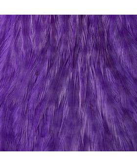 EWING HEN CAPE HACKLE #PURPLE