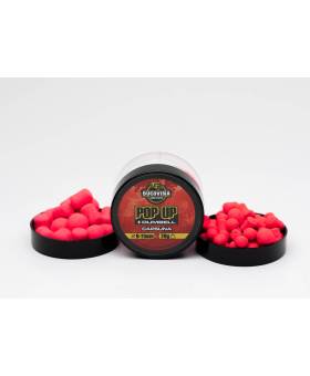 BUCOVINA CARP BAITS POP UP + DUMBELL CAPSUNA