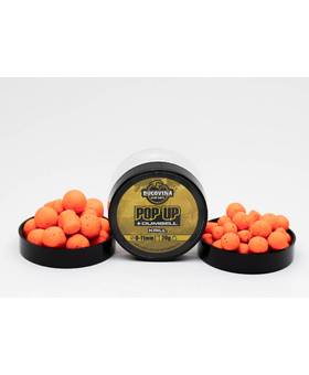 BUCOVINA CARP BAITS POP UP + DUMBELL KRILL