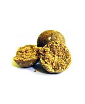 SELECT BAITS FRESH BOILIES MUSSEL & BELACHAN 1kg 20mm