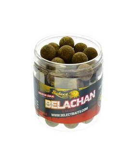 SELECT BAITS HOOKBAITS CRITIC BELACHAN