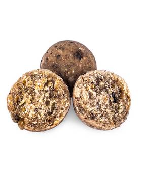 SELECT BAITS SHELF LIFE BOILIES NUTTY SCOPEX 5kg 20MM
